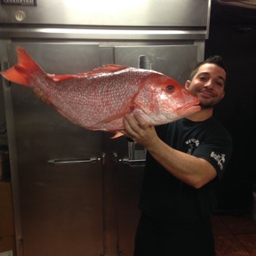 American red snapper