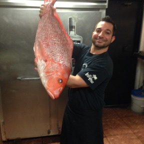 American red snapper